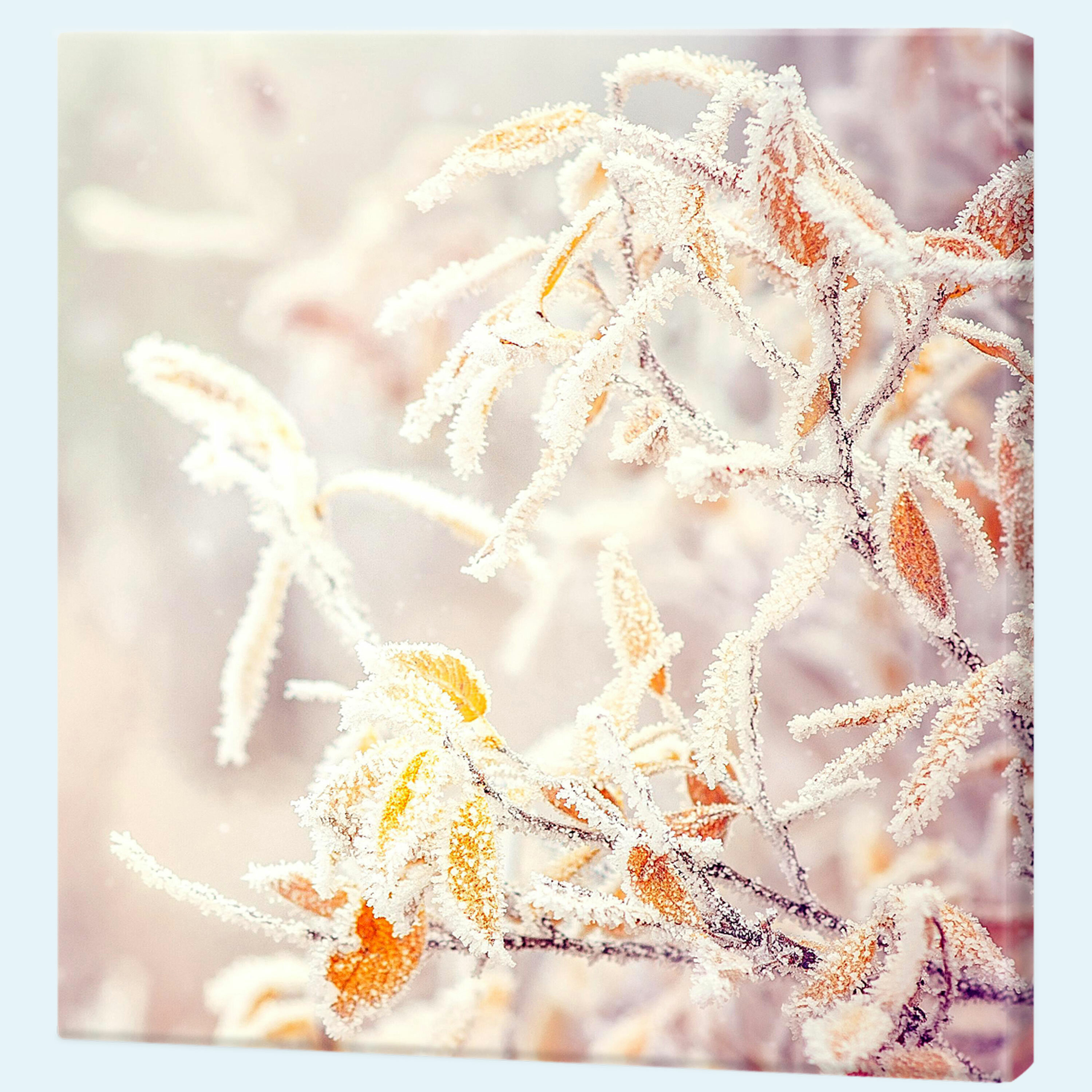 Leinwände im quadratischen Format